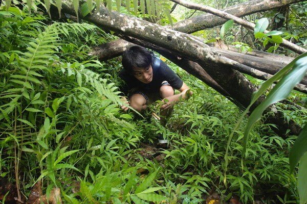 Koloa Gulchの険しい道中